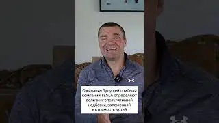 Ожидания будущей прибыли TESLA = спекулятивная надбавка