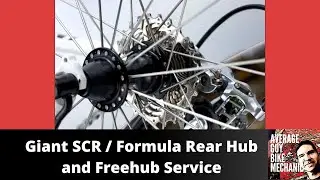 Giant SCR / Formula Hub Service & Freehub Rebuild