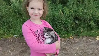 Летний отдых на даче. Забрали дачного котёнка домой.