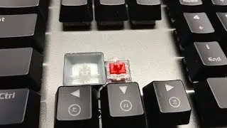 Viper V770 Typing Sound (Kailh Red Switch)