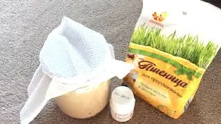 Закваска для хлеба на Симбионе