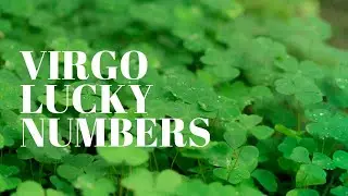 Virgo May 2021 Lucky Numbers