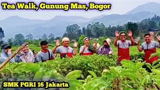 Tea Walk (Gunung Mas, Bogor) - 21 oktober 2023