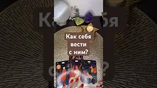 Как себя вести с ним?