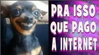 É pra isso que eu pago a Internet - (NÍVEL OSTENTAÇÃO EXTREMA ) OS VIDEOS MAIS ENGRAÇADOS DO WHATSAP