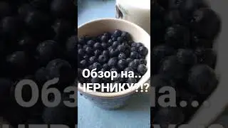 Обзор на Чернику с рынка! 