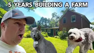 Shocking 5 Year Small Farm Transformation