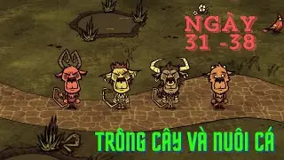 DST: Don't Starve Together - Tập 5: Dọn nhà đón xuân !!!