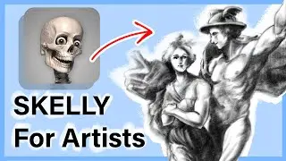 How to use the Skelly App for Anatomy Artists