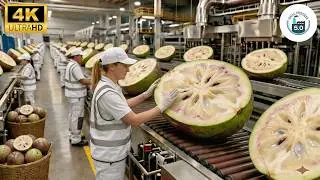 Inside the Factory The 12-Step Process of Star Apple Herbal Tea (Full Process)