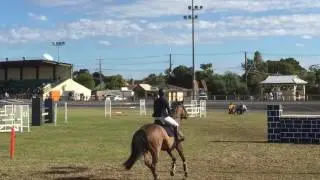 Diamond B Catapulte 1.30 GP Dubbo