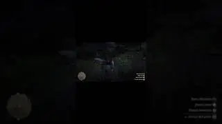 Red dead online fun