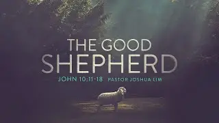 The Good Shepherd | John 10:11-18