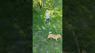 Веселая история🐶👍♥️😂