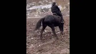 Эркак киши От минишни билиши кераг !!!