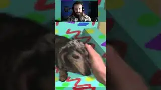 THIS BLUES CLUES HORROR GAME RUINED ME... - Chip's Tips