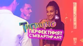 "ПЕРФЕКТНИЯТ СЪКВАРТИРАНТ" - Типично Shorts