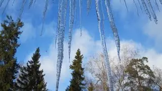 ФЕВРАЛЬСЬКАЯ  КАПЕЛЬ. Лирические стихи. Релакс.