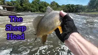 Fox River Fishing: Ride & fish