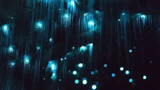 Пещеры Вайтомо.Те Куити, Новоя Зеландия