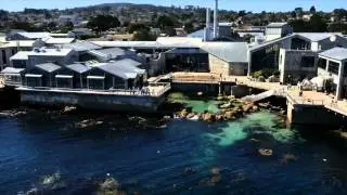 The Aquarium from on High: Take a Drone Tour!