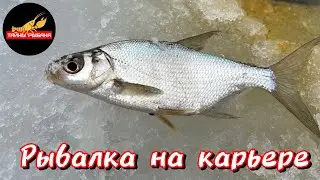 Рыбалка на Лыткаринском карьере 28.01.24