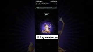 16 August combo card Hamster Combat