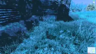 H1Z1 bear close encounters