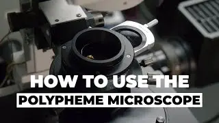 Sample setup on the multispectal microscope of the DISCO Beamline