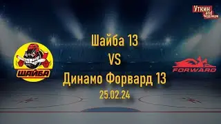 Шайба 13 - Динамо Форвард 13, 25.02.24