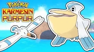 Wingull und Pelipper Fundort + Entwicklung | Pokemon Karmesin und Purpur