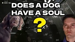 The Game Devs Really Made Me Question Alot...
