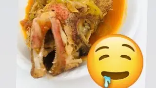 PROBANDO LOS PESCADOS MÁS SABROSOS DE TODO EL CARIBE!! 🇩🇴 *vlog en maimon puerto plata *