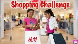 OUTFIT SHOPPING CHALLENGE SIS vs SIS! ANY STORE w/ $100 BUDGET🛍️🛍️  Who WINS?