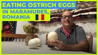 Eating Ostrich Eggs in Romania - Things to Do in Maramures