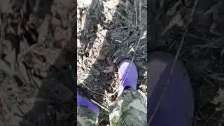 8.04.2024. Прокопьевск переулок Путейский Зенковский район.