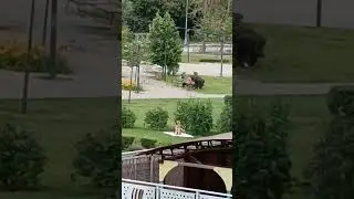 13 сентября 2024 г.