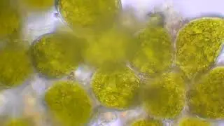 DSCN9102