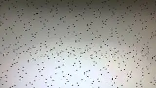 iMac boot problems