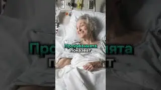 Супер силата на терапевтичните кучета🐕