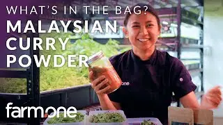 What's in the Bag: Fresh Greens, Spice Tree Organic's Malaysian Curry Spice, and Acar Awak Recipe