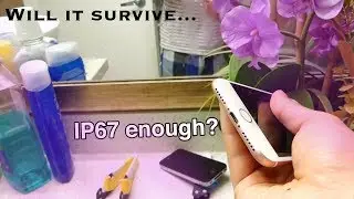 iPhone 7/8 Water Vapor Steam Test! iP67 Will it Survive?