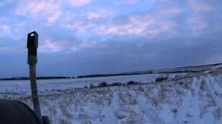 Охота на зайца 09.12.2015 г.  1: 1