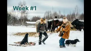 COWBOY_BLOG week #1 Лошади погрызли машину, буду работать с ИИ, красивая прогулка в лес.