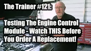 The Trainer 