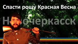 Мэрия Новочеркасска хочет убить рощу!