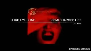 Third Eye Blind - Semi Charmed Life (Cover)