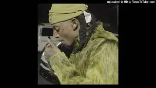 [Free] Playboi Carti x F1lthy Type Beat Sinewav 901B