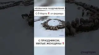 Фермер необычно поздравил всех женщин с 8 МАРТА #shorts #с8марта #башкортостан