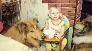 Жила была собака